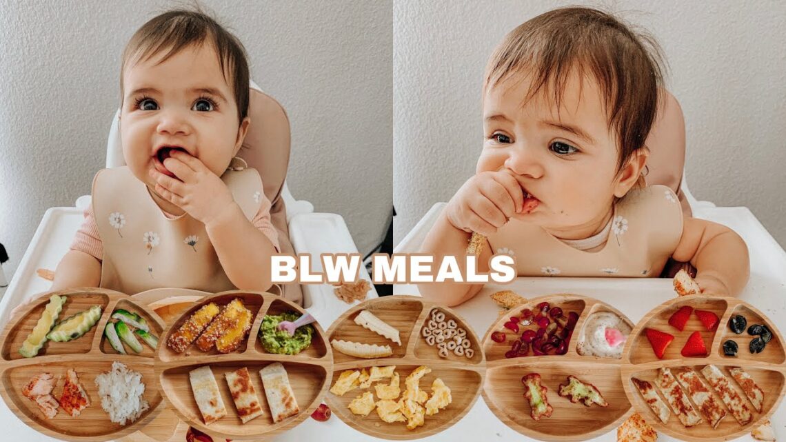 Easy Baby Led Weaning Meals | My Baby’s Favorite Foods For Breakfast, Lunch & Dinner