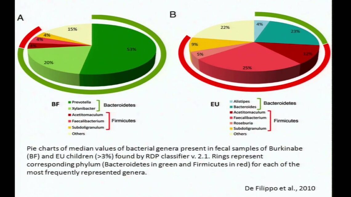 Diet, Childhood Nutrition and the Microbiome – Kathryn Dewey