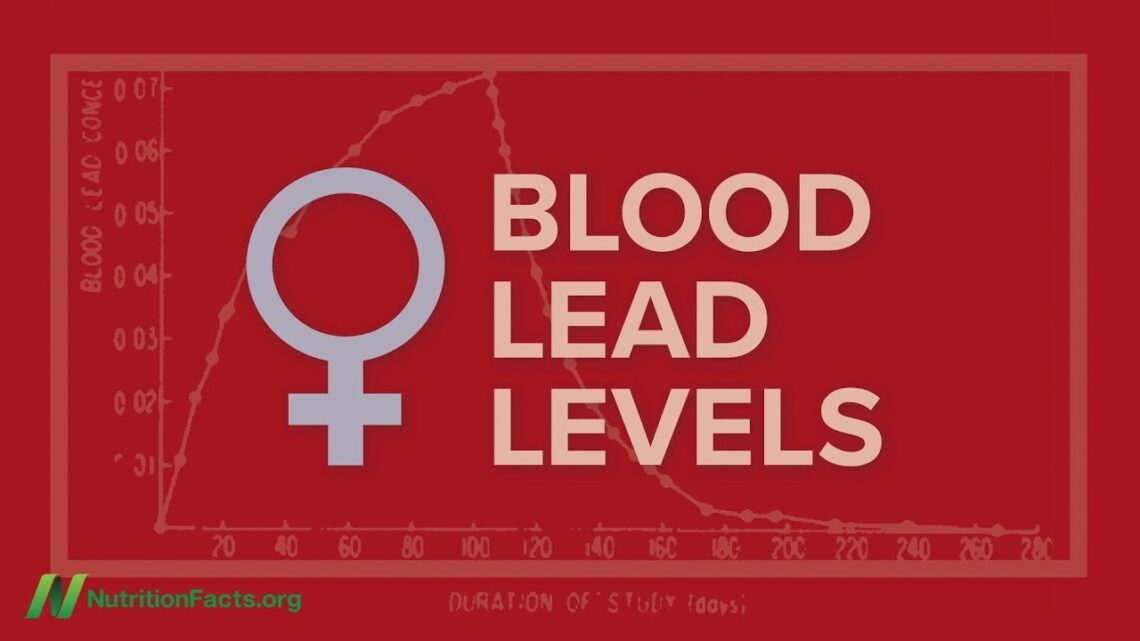 The Rise in Blood Lead Levels at Pregnancy and Menopause