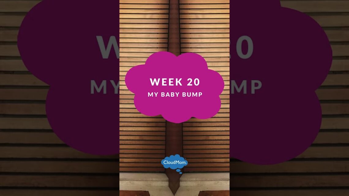 20 Weeks Pregnant: My Pregnancy Week by Week | Cloudmom | GIVEAWAY | #Shorts