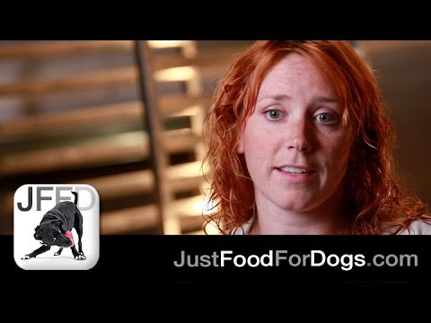 Ask The Experts: Pet Nutrition as Preventive Care | JustFoodForDogs