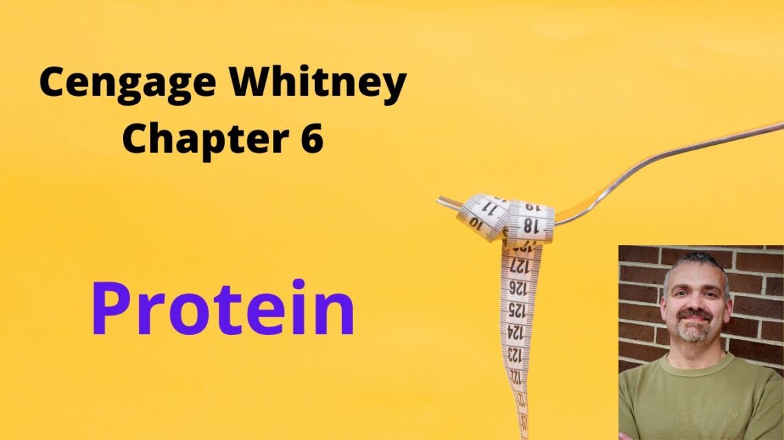 Cengage Whitney Nutrition Chapter 6 Lecture Video (Protein)