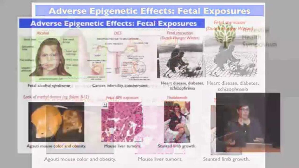 Epigenetics & the Multigenerational Effects of Nutrition, Chemicals and Drugs — Jill Escher (AHS14)