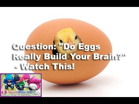 Nutrition:  Do Eggs Really Build Your Brain?  Do They Make You Smarter?