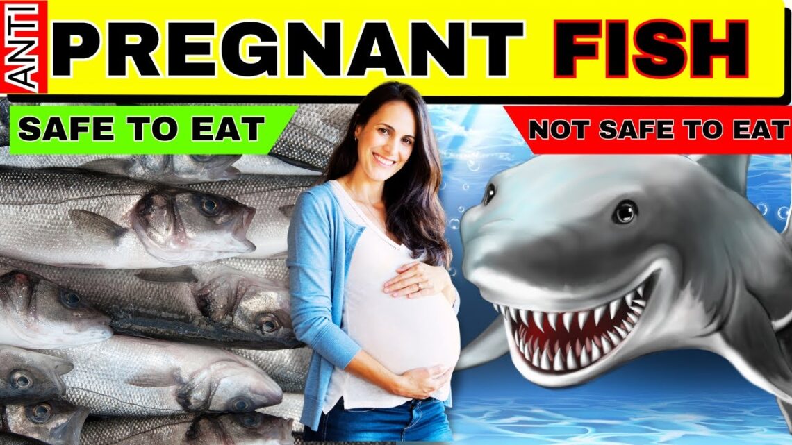 DO NOT EAT THESE FISH If you are Pregnant..!! Fish To Avoid During Pregnancy