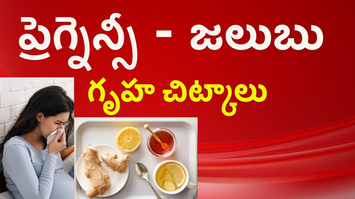 ప్రెగ్నెన్సీ – జలుబు దగ్గు | గృహ చిట్కాలు | HMBLiv exclusive channel for PREGNANCY & CHILD HEALTH