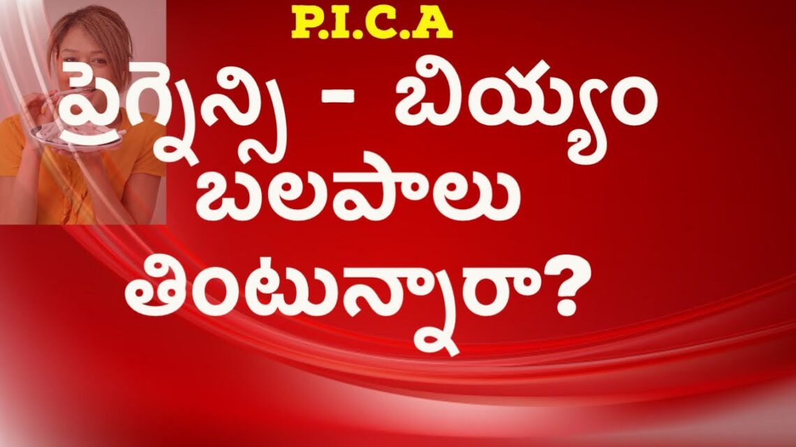 గర్భిణులు –  బలపాలు చాక్ పీస్ లు ఎందుకు తింటారు?  ప్రమాదమా? | HMBLIV PREGNANCY HEALTH