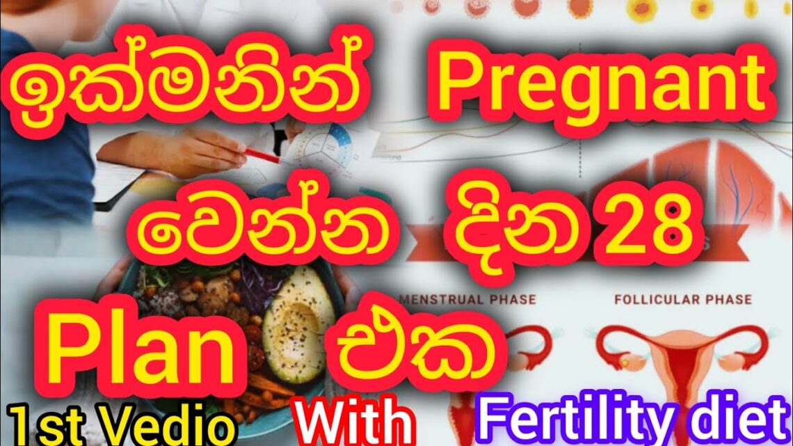 ඉක්මනින් pregnant වෙන්න දින 28 plan එක🤰👍🛑📑||1 වෙනි අදියර||with fertility diet