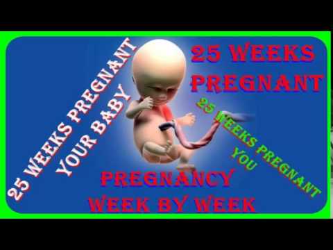 25 weeks pregnant