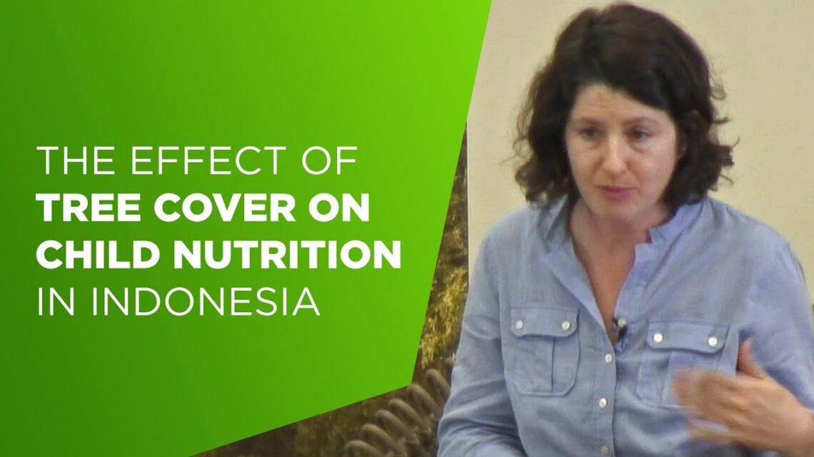 Amy Ickowitz on the effect of tree cover on child nutrition in Indonesia