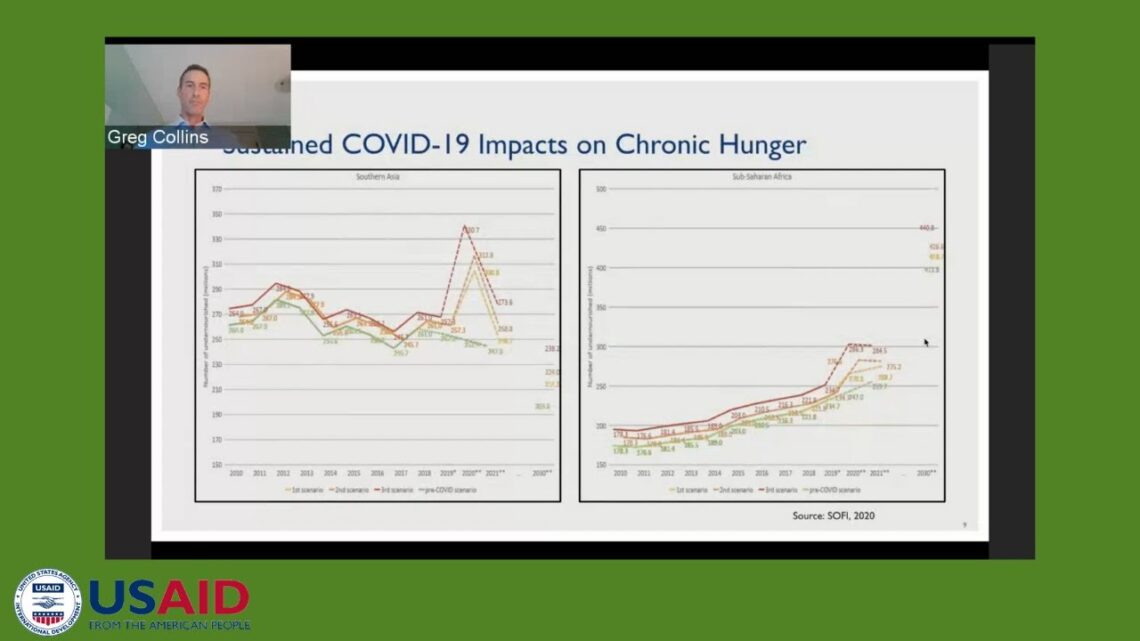 USAID Community Meeting on Mitigating the Impacts of COVID-19 on Food, Nutrition & Water Security