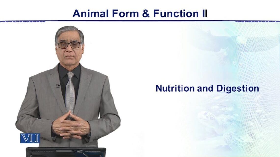 Nutrition and Digestion | Animal Form & Function 2 (Theory) | ZOO517T_Topic001