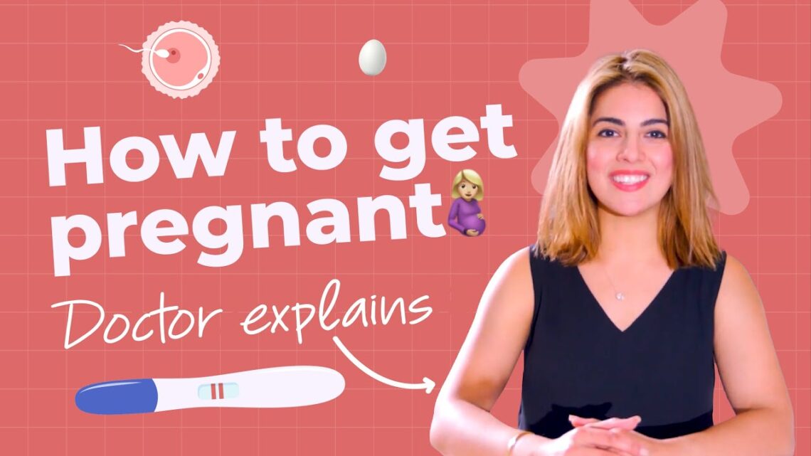 Doctor Explains: How To Get Pregnant