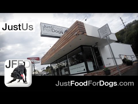 JustUs: An Introduction to The World’s first Dog Kitchen and Nutrition Center  | JustFoodForDogs