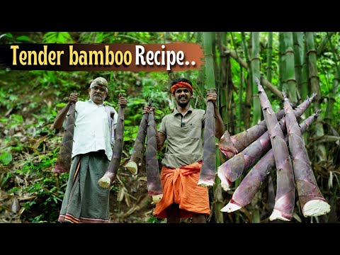 Tender bamboo curry recipe | ಕಣಿಲೆ/ಎಳೆಯ ಬಿದುರಿನ ಪಾಕ | How to use bamboo shoots | Kanile recipe