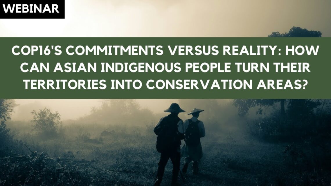 How can Asian Indigenous people turn their territories into conservation areas?