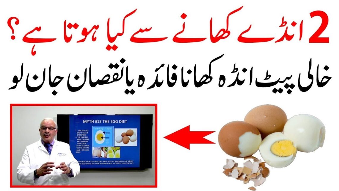 Egg Nutrition Health Benefits || Eat One Boiled Egg a Day || Egg Benefits