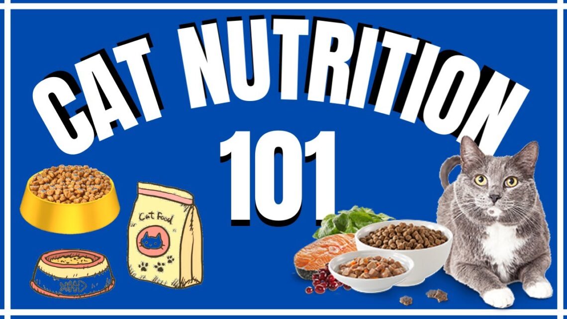 Cats 101 : Cat Nutrition