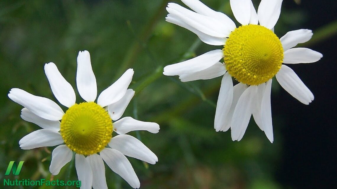 Chamomile Tea May Not Be Safe During Pregnancy