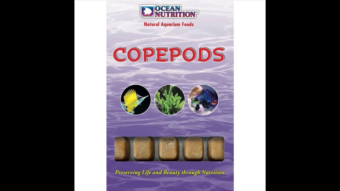 Ocean Nutrition Copepods