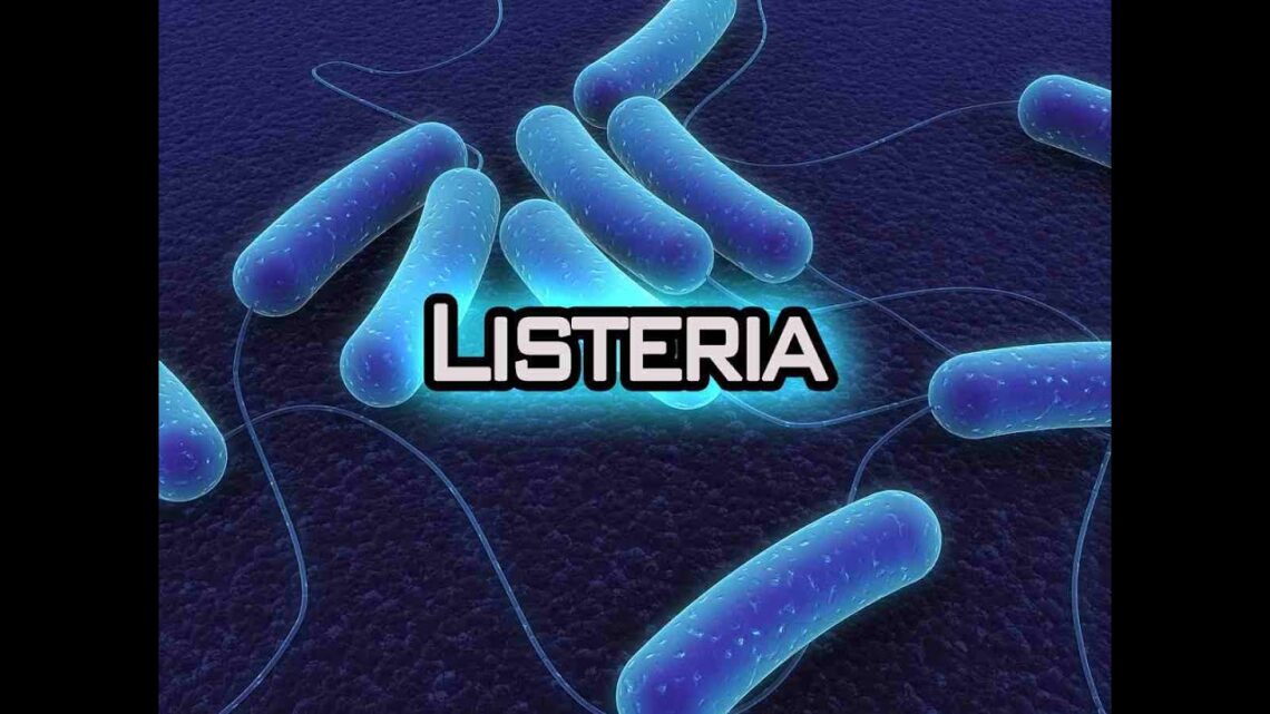 Listeria a risk for pregnant women, babies, elderly | Listeria infections in humans