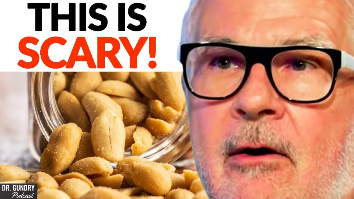 What HAPPENS If You Eat Peanuts EVERYDAY For 30 Days? | Dr. Steven Gundry