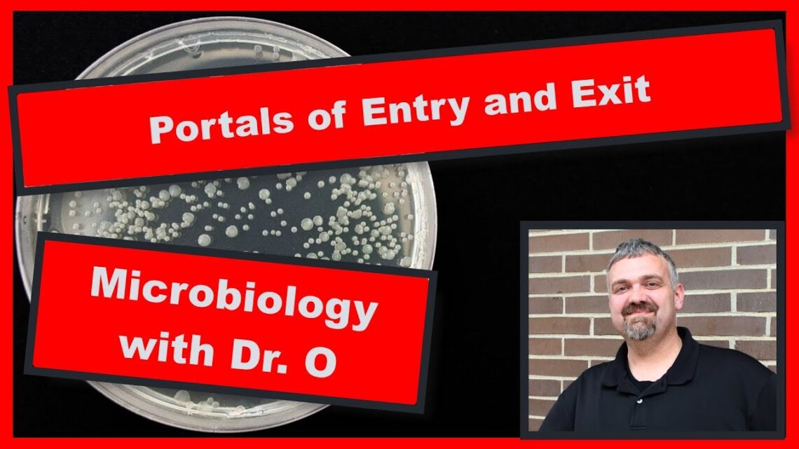 Portals of Entry and Exit:  Microbiology