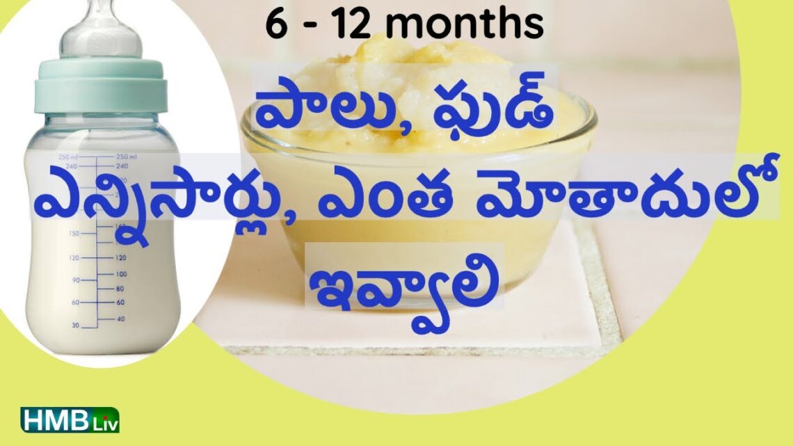 6 – 12  months baby | ఫుడ్ & పాలు ఎన్ని సార్లు ఎంత మోతాదులో ఇవ్వాలి? | HMBLIV channel