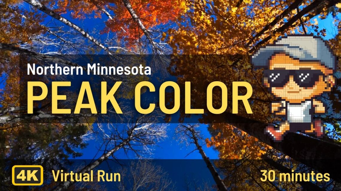 Peak Fall Color Virtual Run / 30 minutes / Northern Minnesota 4k Relaxation