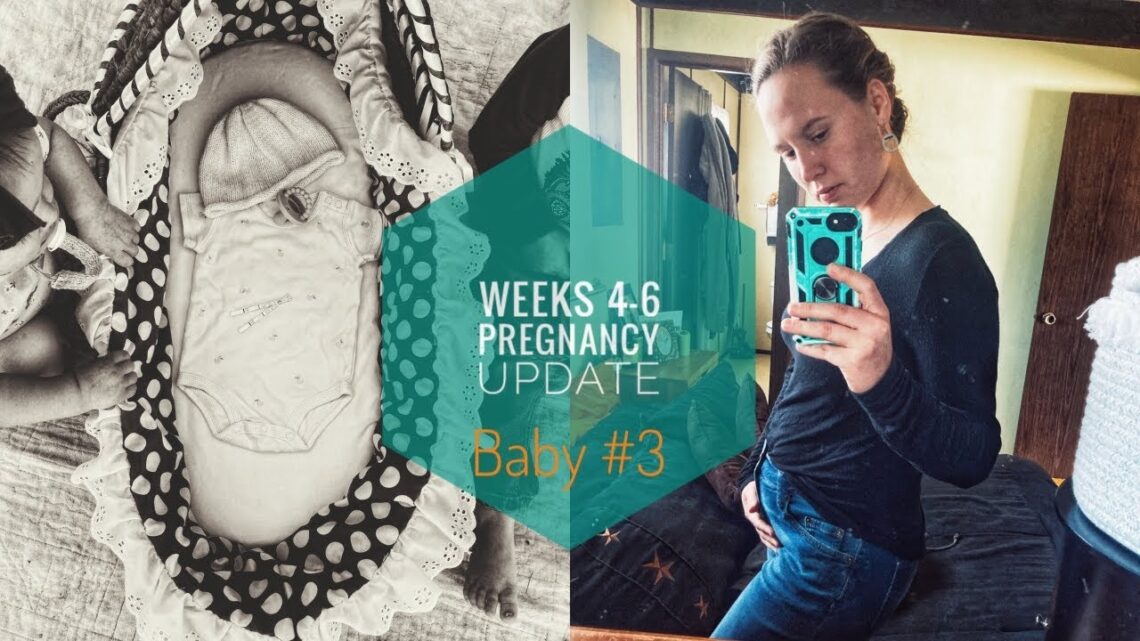 Pregnancy Update 6 Weeks | Fatigued Nauseated And Showing | Baby Number 3 Update |