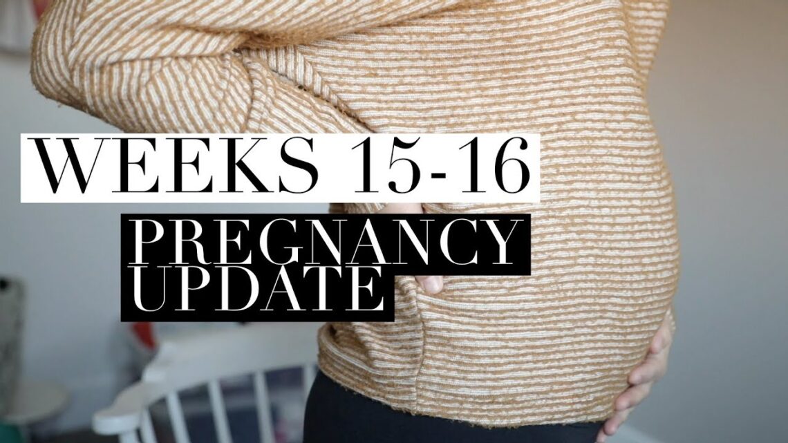 Pregnancy Update Weeks 15-16 | Nausea? Growing belly!