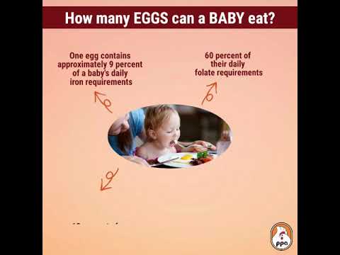 How many EGGS can a BABY eat?