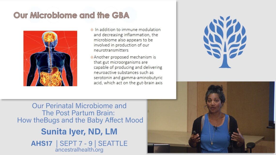 AHS17 Our Perinatal Microbiome and The Postpartum Brain – Sunita Iyer