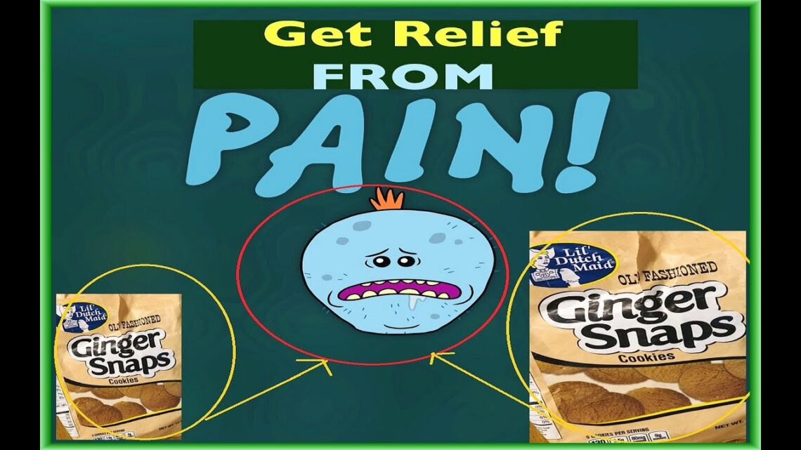 😃😃How To Use Lil Dutch Maid Old Fashioned Ginger Snaps Cookies  For Pain Review