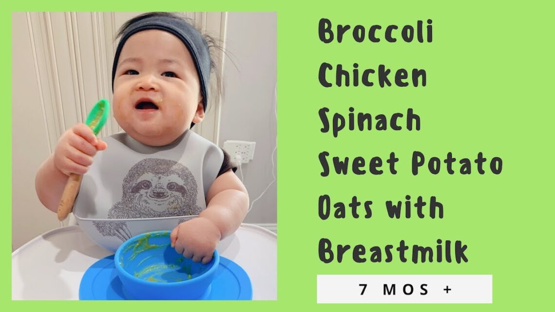 VEGETABLE & MEAT PURÉE FOR BABIES 7 MOS + | BROCCOLI, CHICKEN, SPINACH, SWEET POTATO, OATS