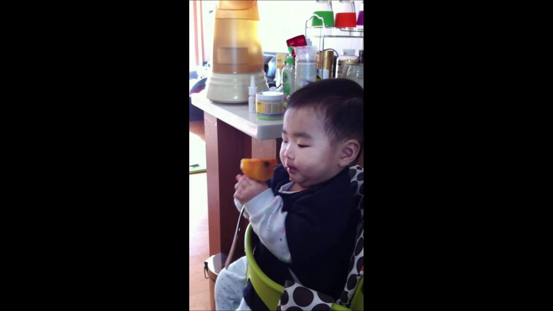 The day my baby eats a persimmon for the first time