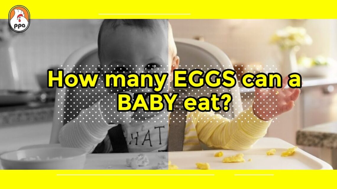 How many EGGS can a BABY eat?