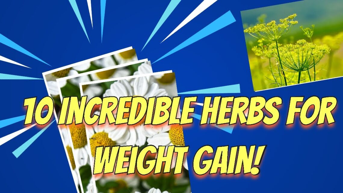 10 Incredible Herbs For Weight Gain: Best Herbs To Put Weight On Naturally