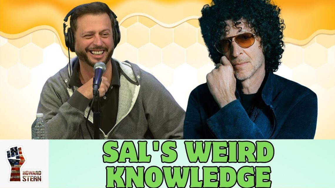 SAL’s weird knowledge