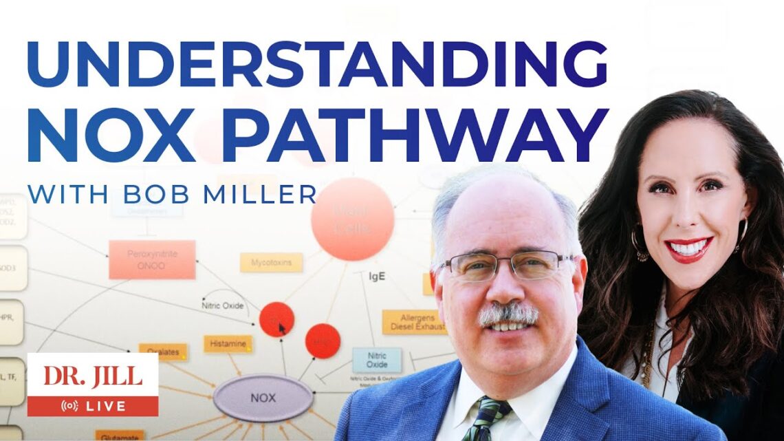 26: Dr  Jill Interviews Bob Miller on Overstimulation of NOX and Functional Genomics