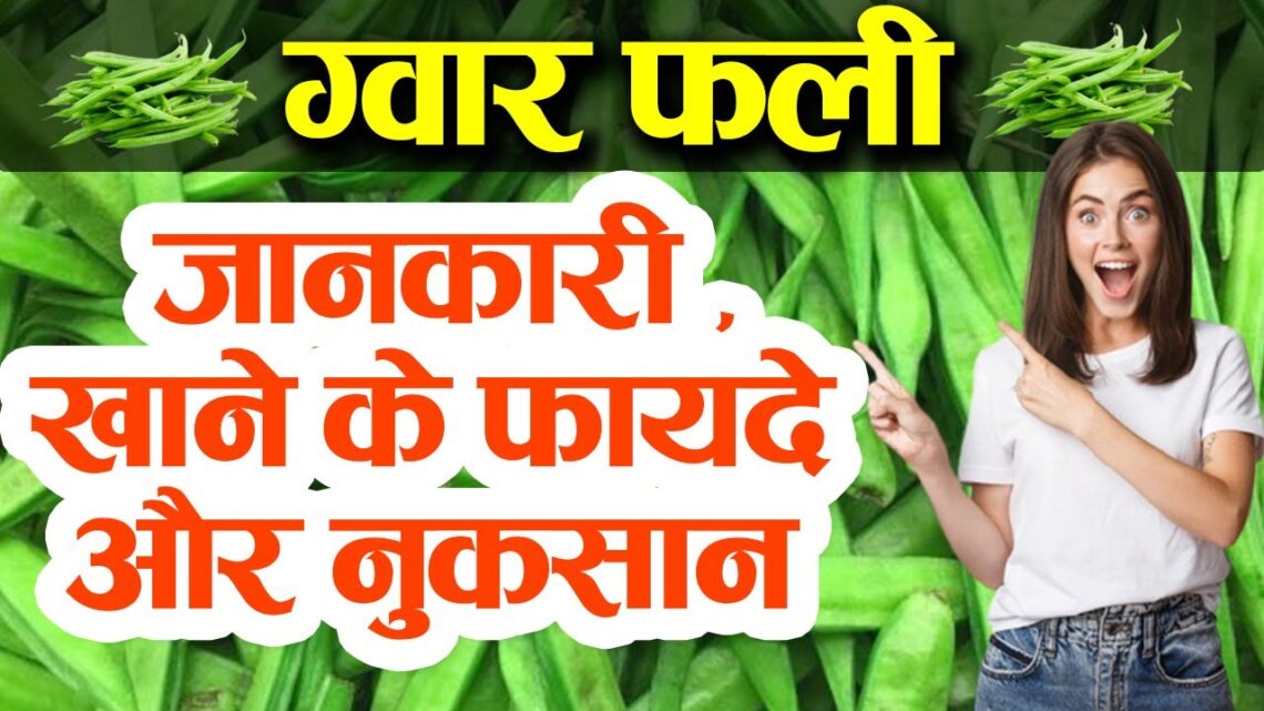 ग्वार फली : जानकारी ,खाने के फायदे और नुकसान .Benefits of cluster beans in pregnancy, Diebetes.