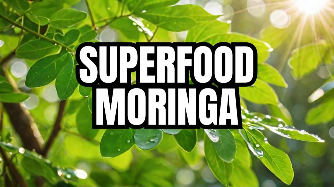 Moringa: Nature’s Nutrient Powerhouse