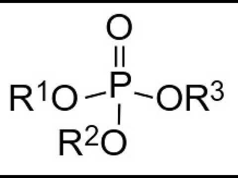 Organophosphate | Wikipedia audio article