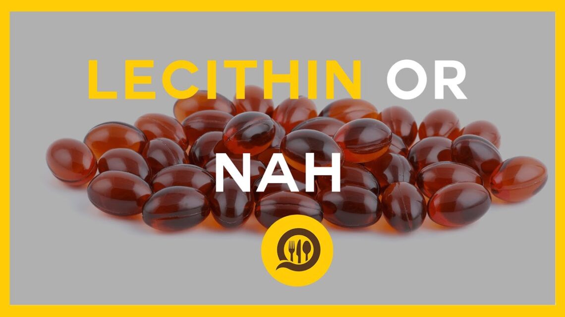 Health Benefits of Lecithin 2020 | Foody Appeal