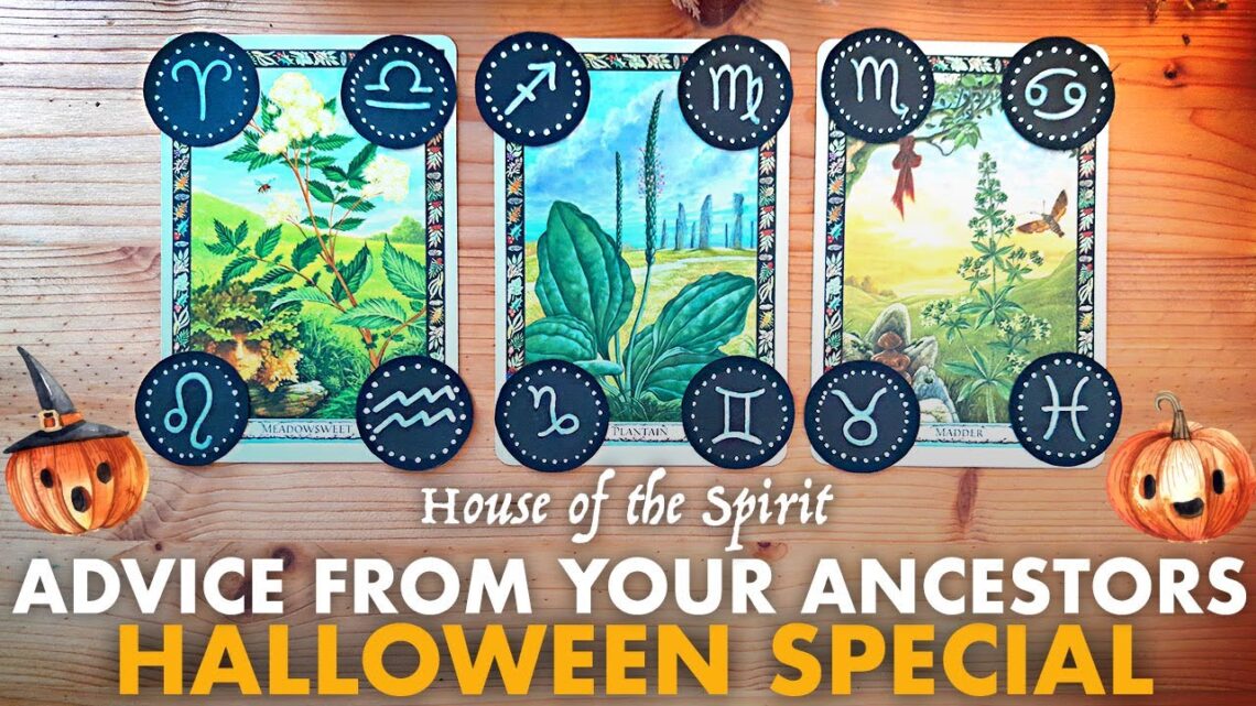 Advice from Your Ancestors 🎃 TAROT Pick-a-Card #tarot #tarotreading #pickacard