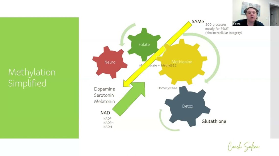 Mastering Your Genes Masterclass July 2023