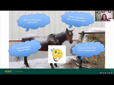 Winter Horse Management Webinar Series – #2 –  Feeding Hay During Winter Months