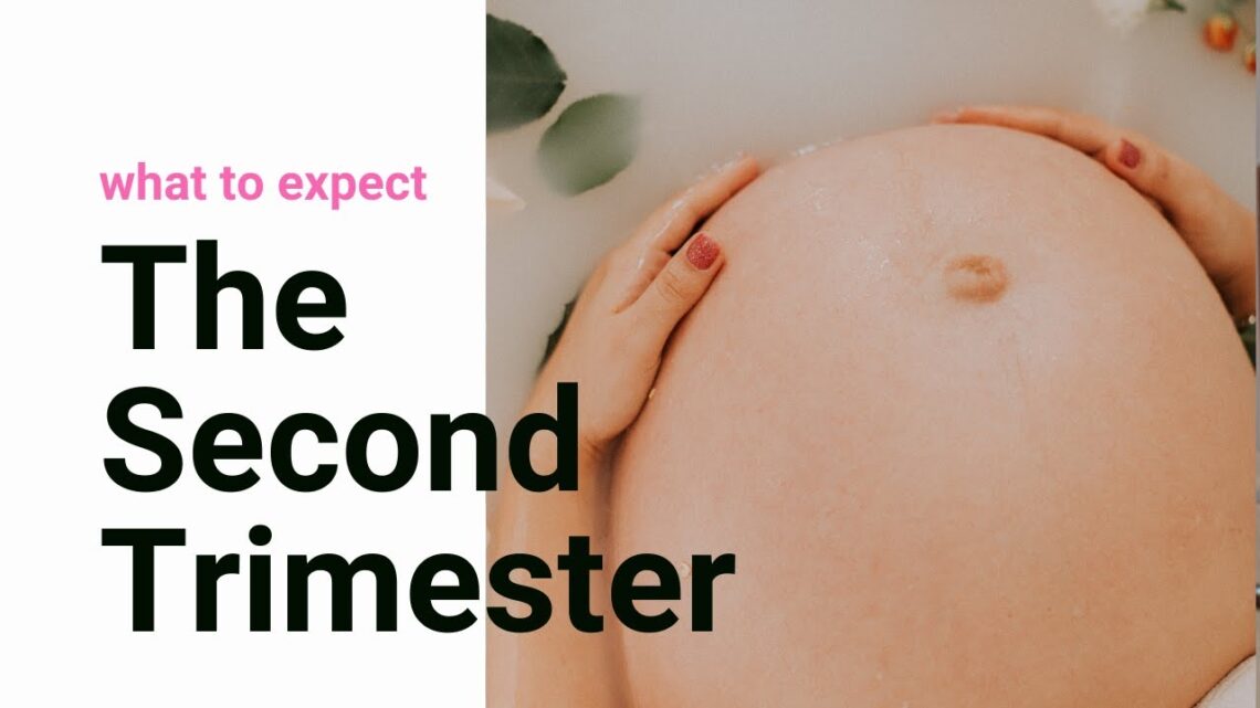 The Second Trimester of Pregnancy | What to Expect | 10 Tips for the Second Trimester