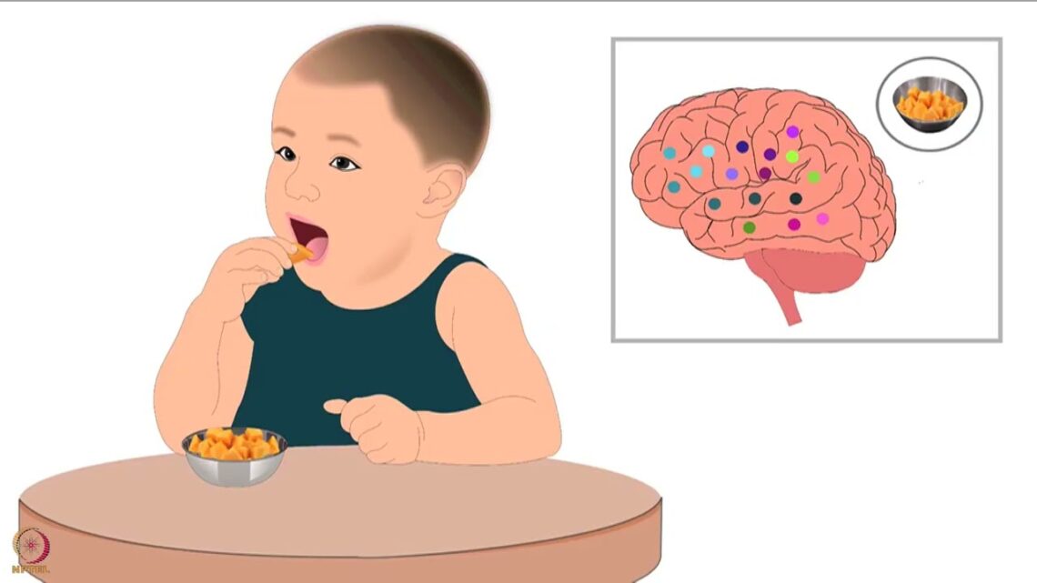 Week 5 : Lecture 26 : Importance of breastfeeding.-Comparsion of breatsmilk with other substitutes