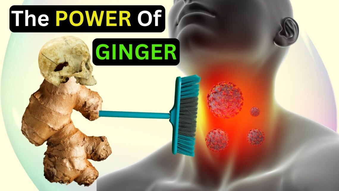 The Wonderful Benefits of Ginger: Top 10 Reasons to Add it to Your Daily Routine